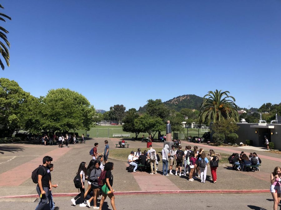 Why We Sit at Different Tables: Self-Segregation at San Rafael High School