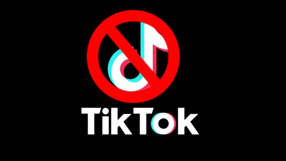 TikTok Should Not Be Banned