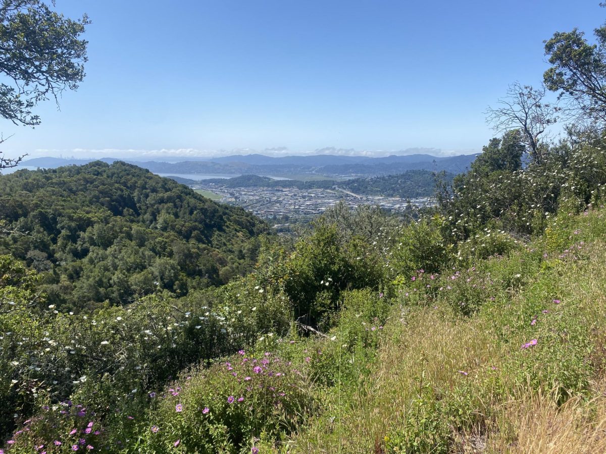 Climate Change Poses a Unique risk to Marin County