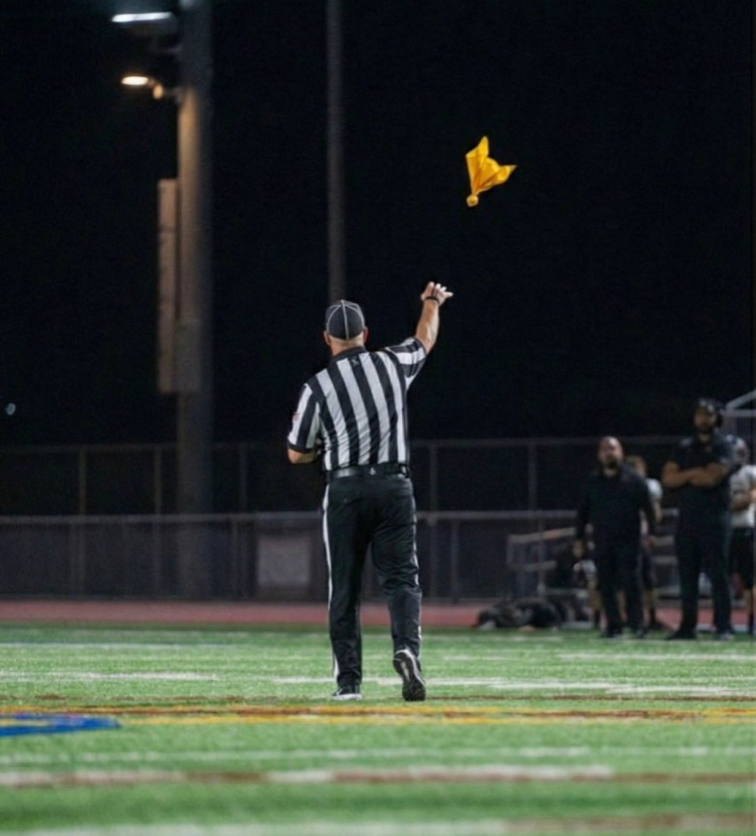 Power Trips, Inconsistency and Anger: The Average High School Referee Experience 