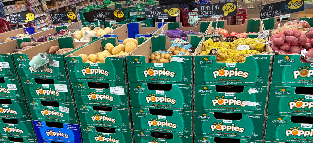 Potatoes Are a Taste of Hope