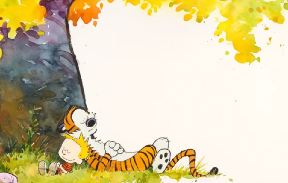 Calvin, Hobbes, and Me