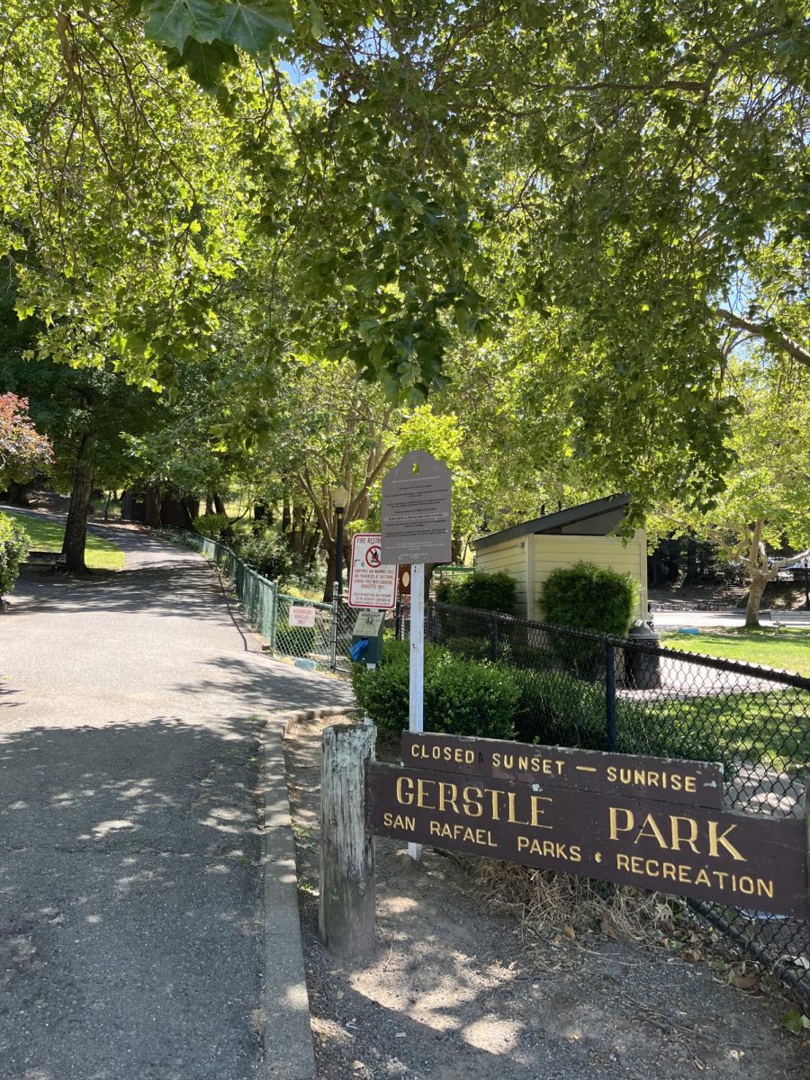 A Peek at the Marin County Park System